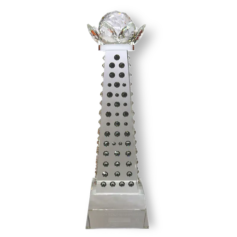 The Muslim World Rania Award