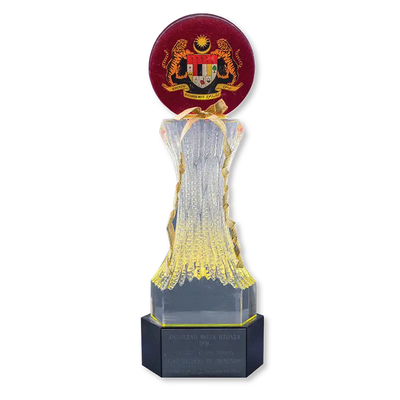 National Youth Award