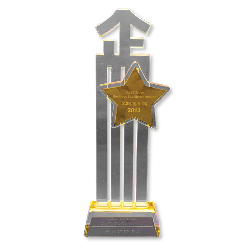 Business Excellence Award